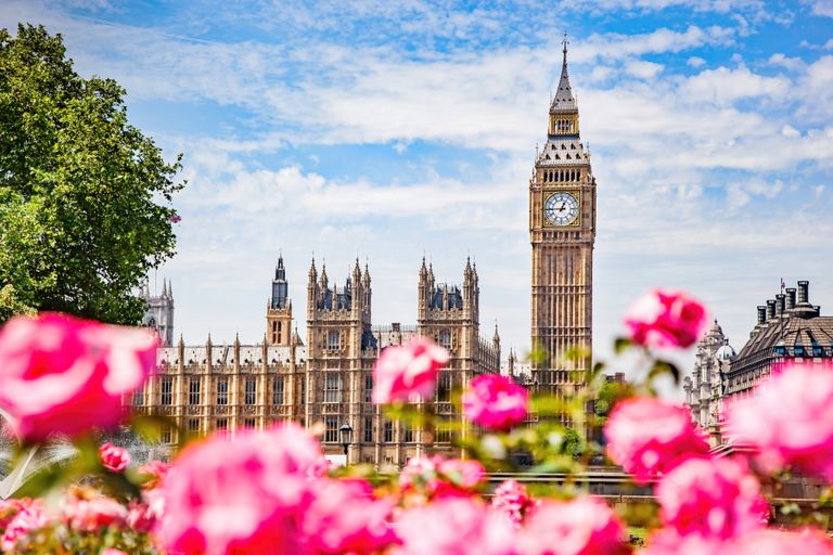 Big Ben with pink flowers in foreground