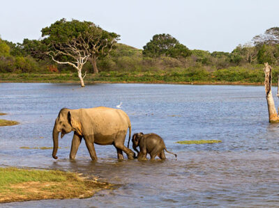 Conservation is focus of MET Alum Beth Allgood, founder of Onenature