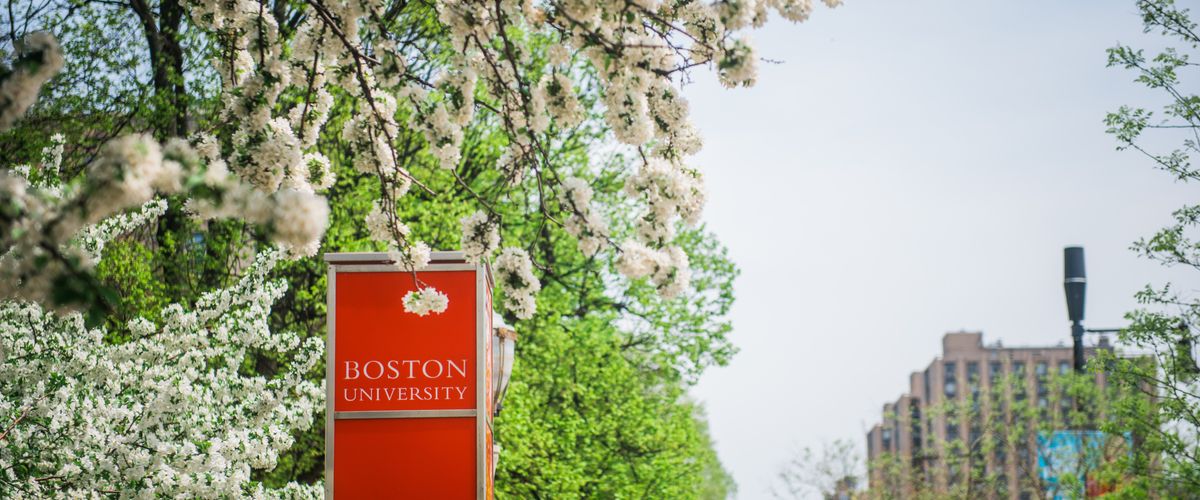 Campus stock photography. Photo by Janice Checchio for Boston University Photography.