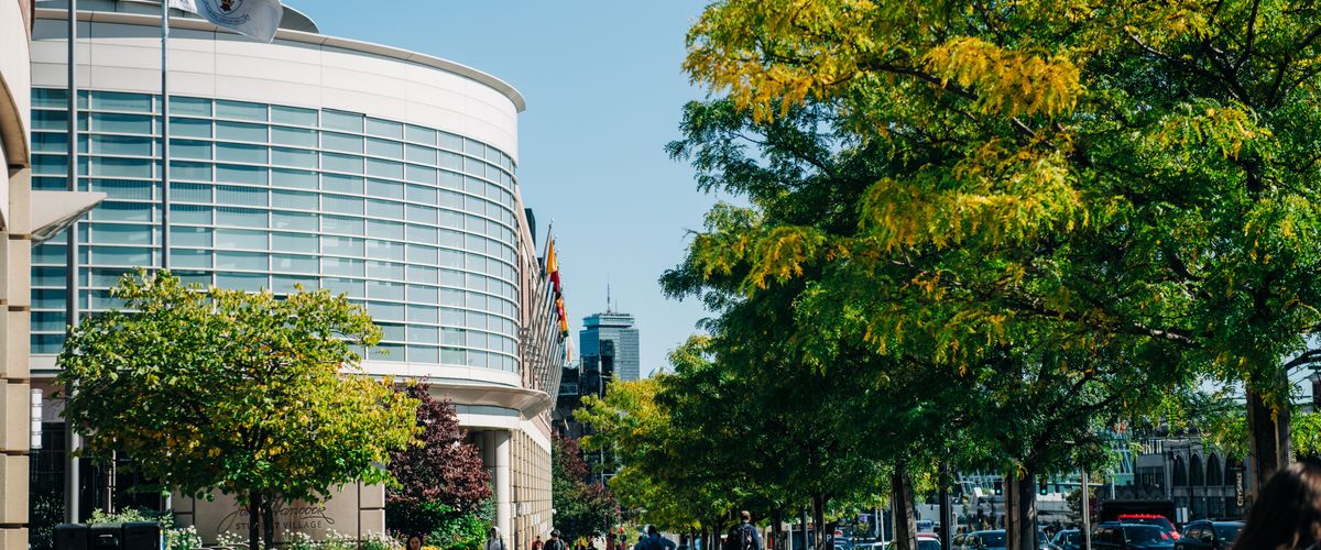 Campus stock photography. Photo by Janice Checchio for Boston University Photography.