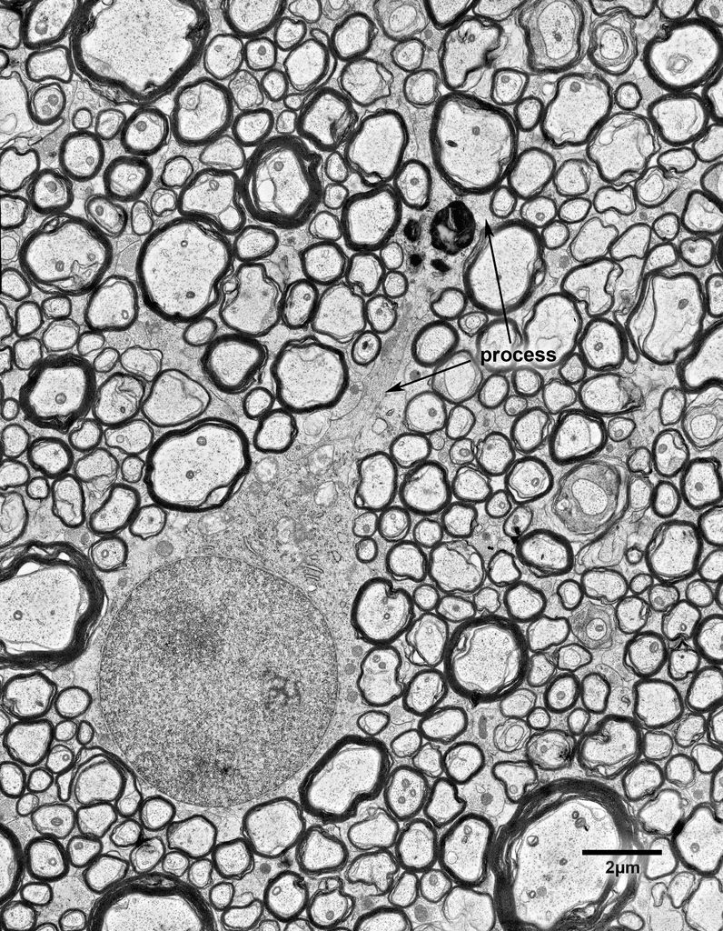 12_2_AM140xAntCom#19text