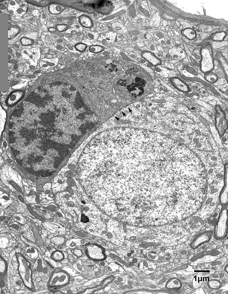 12_3_AM13a17L4b#69text