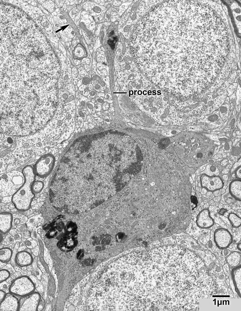 12_6_AM13a17L4c#38text