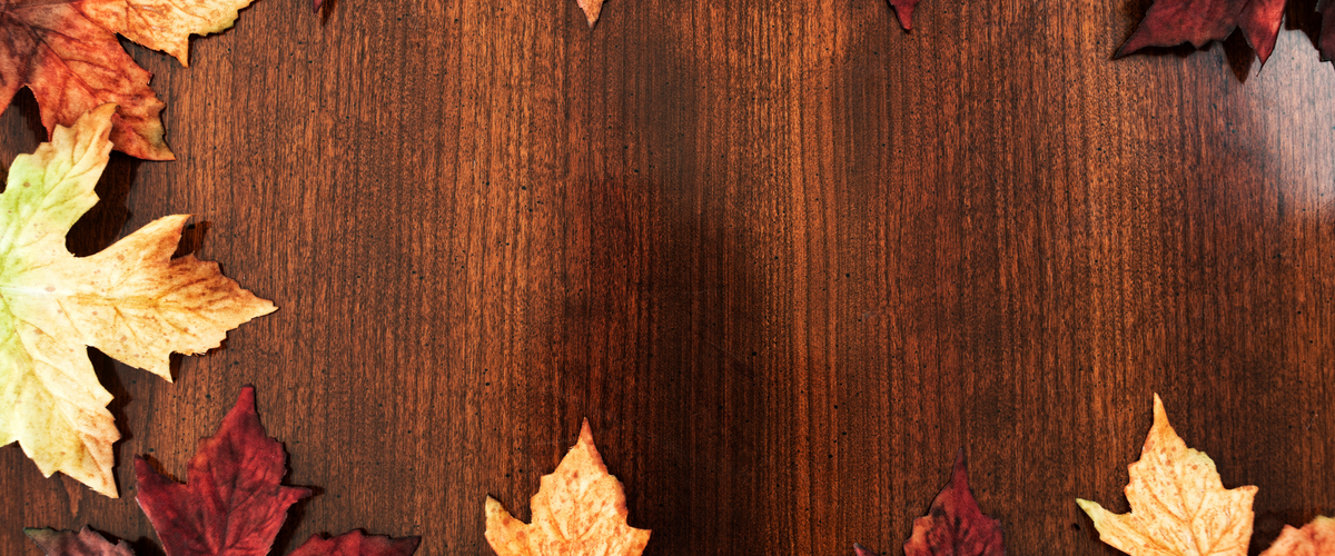 Thankful For - Blog post