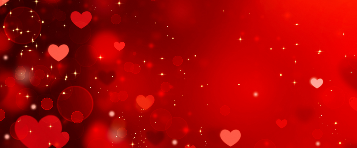 BU love stories from three international Terrier couples (2)