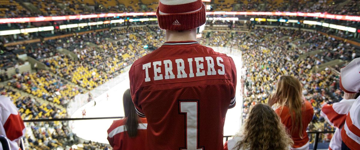 Terriers hockey fan