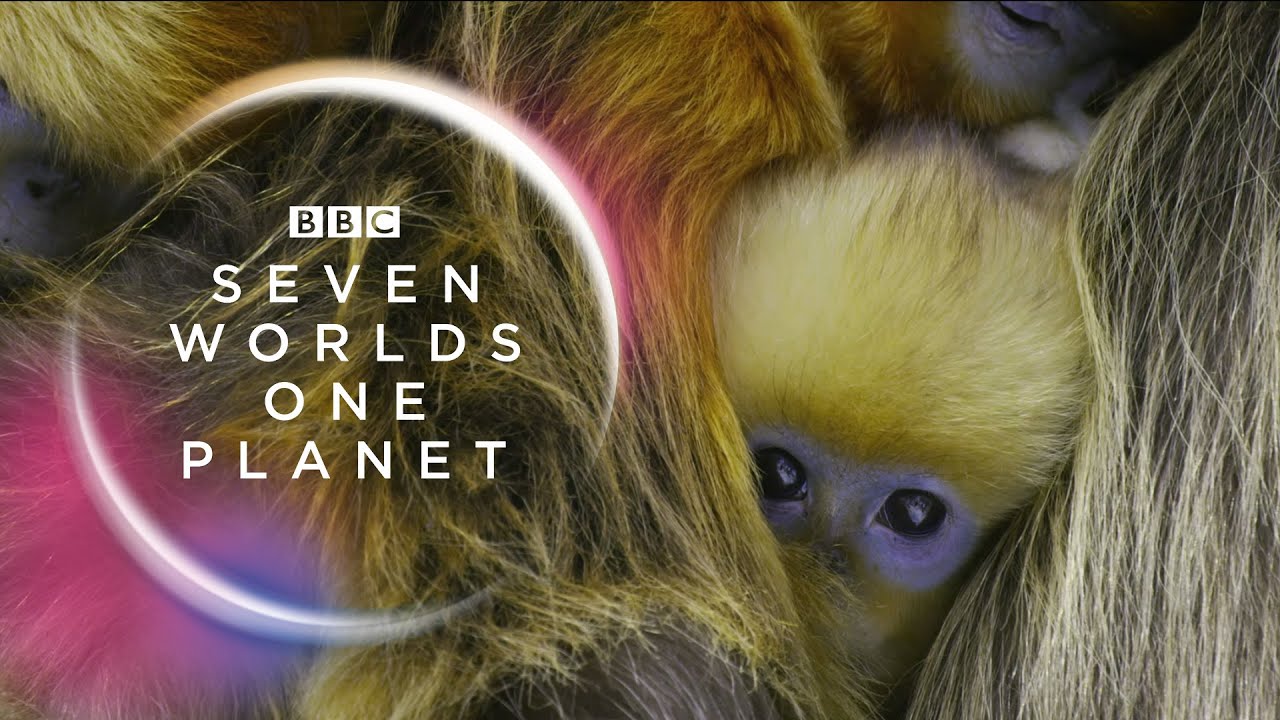 “Seven Worlds, One documentary airs “Asia” episode on BBC