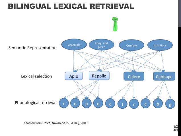 Slide56