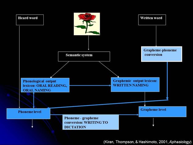 Treatment Methods for Aphasia 2