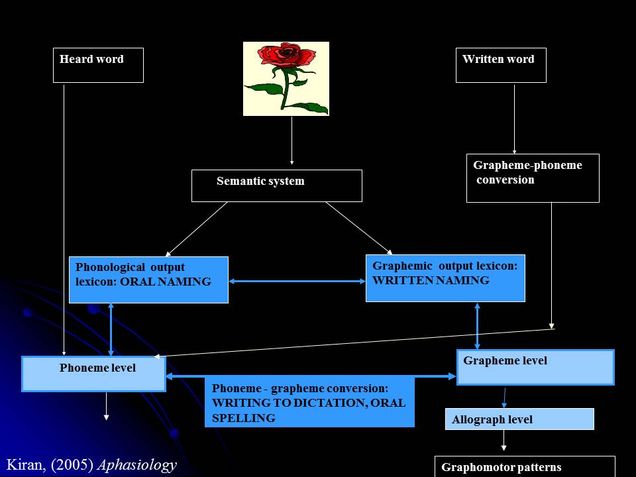 Treatment Methods for Aphasia 3
