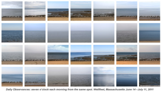 URI_gallery_sea_grant