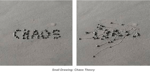 snail_drawing_chaos_theory