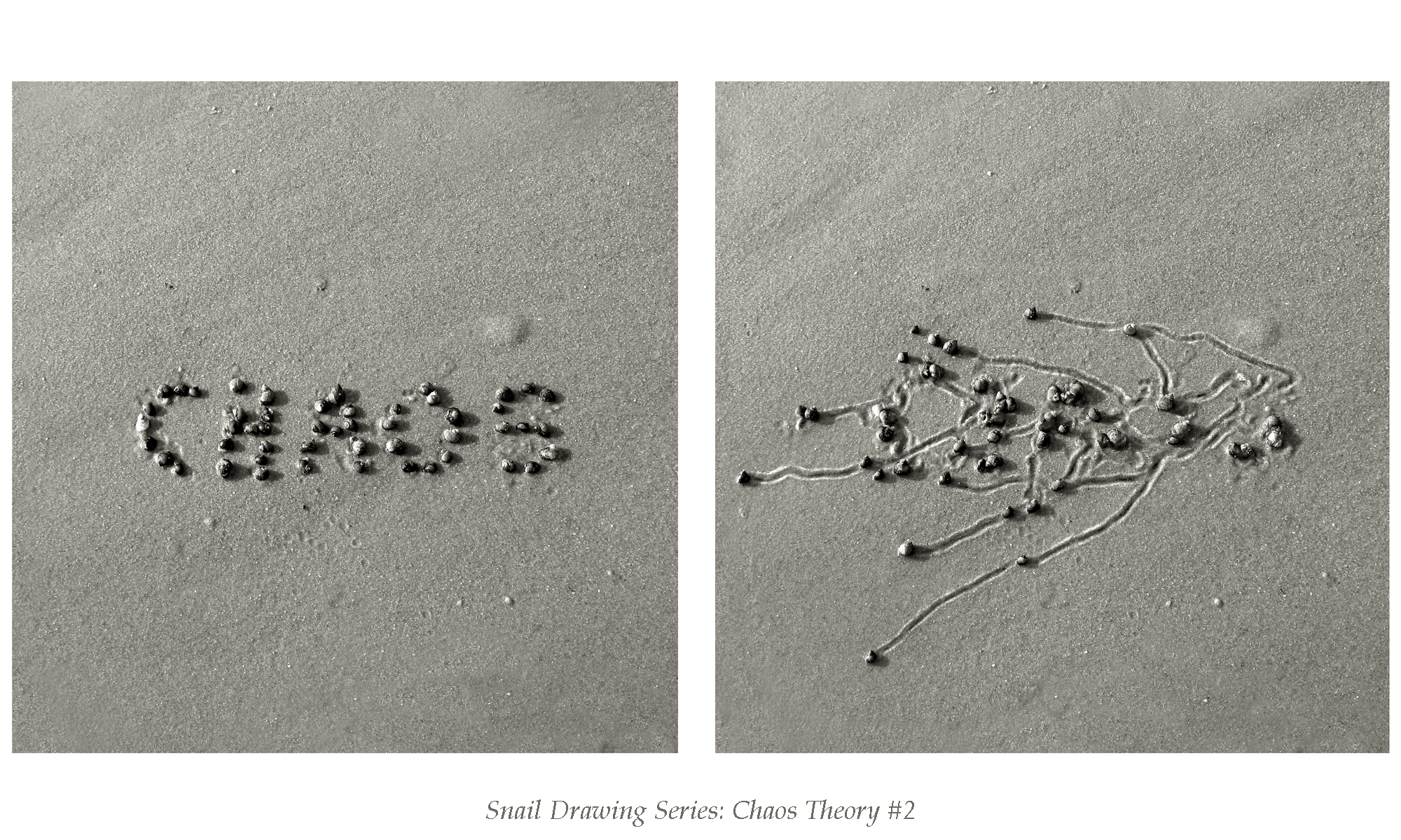 chaostheory2