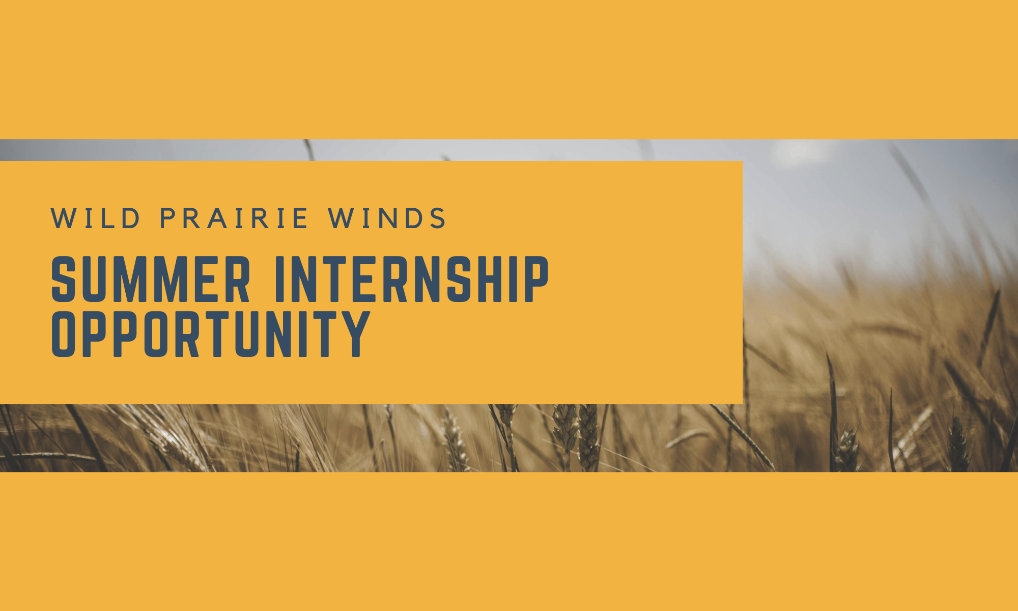 Internship Summer Internship Arts Administration