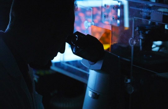 Overhead image of a person looking through a microscope