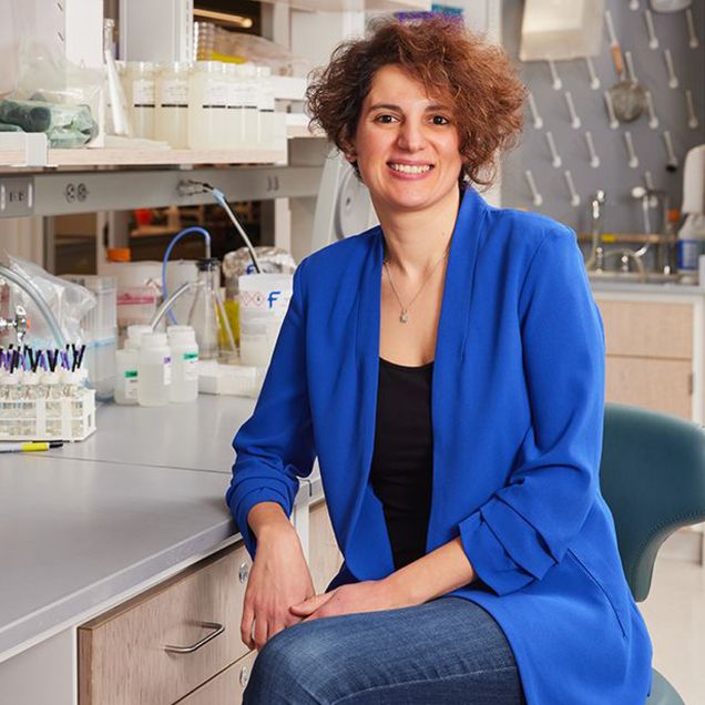 Professor Rabia Yazicigil