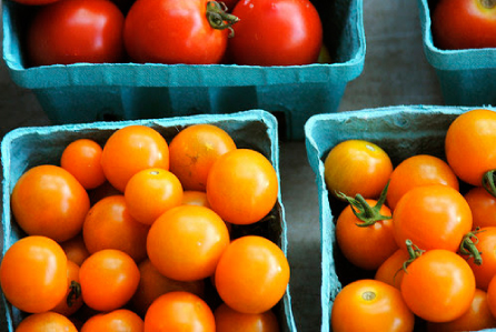 Assorted tomatoes (Coolidge Corner Farmers Market)