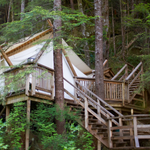 Glamping in yurts, treehouses, and elevated, natural areas, has become much popular.