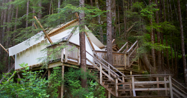 Glamping in yurts, treehouses, and elevated, natural areas, has become much popular.