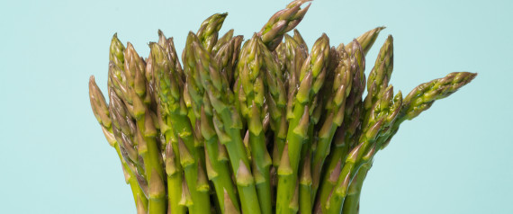 n-ASPARAGUS-PEE-large570