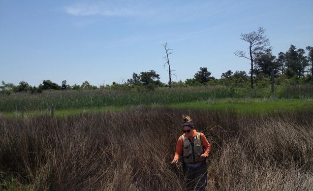 Lucy Zipf in the field