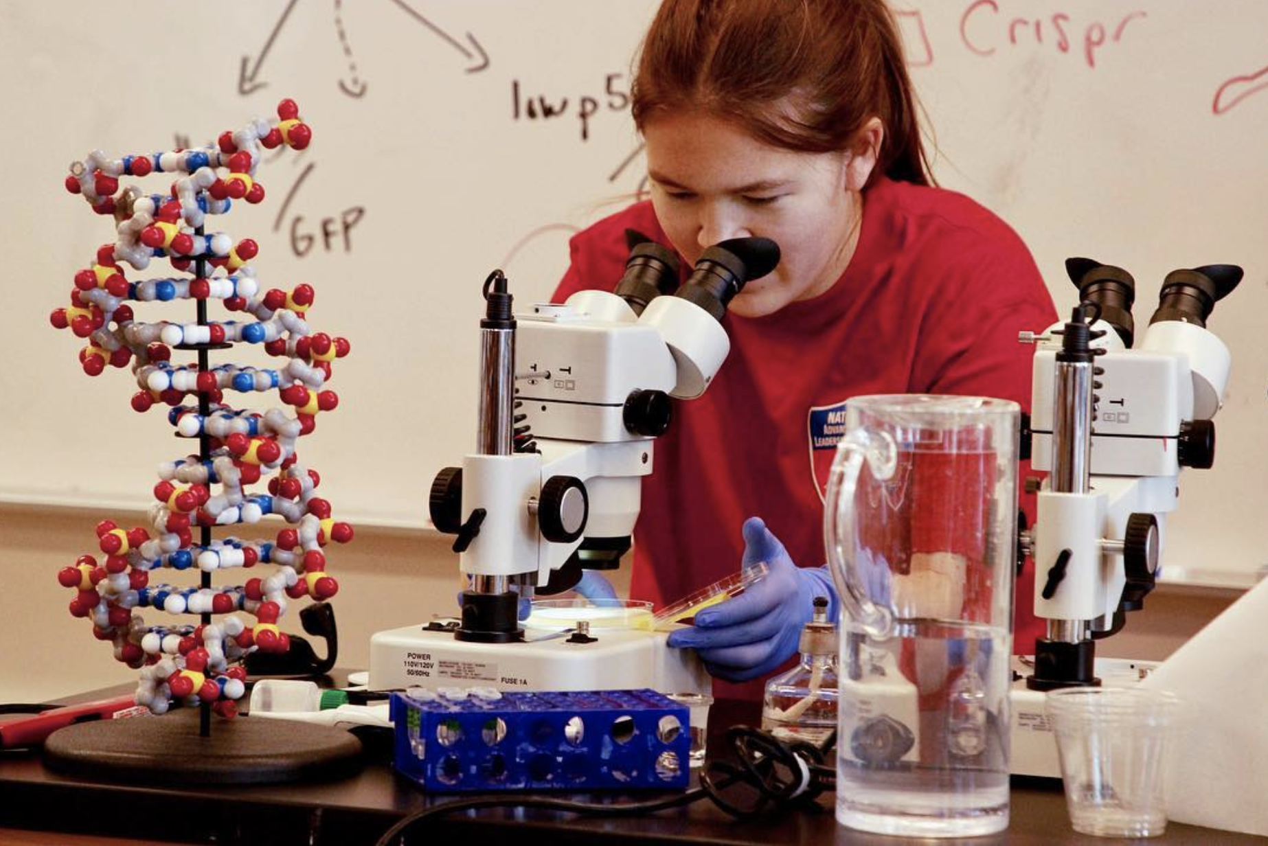 Libby looking into a microscope for research.