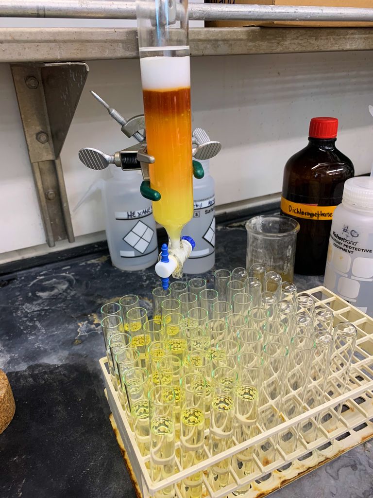 Test tubes used in Anya's research with the Schaus lab