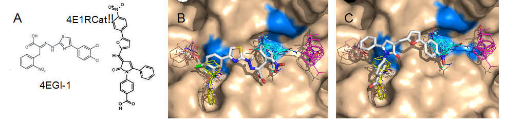 Fig. 2. A. Inhibitors of eIF4E:eIF4G interaction. B. Docked pose of 4EGI-1. C. Docked pose of 4E1RCat. Residues determined to interact with 4EGI-1 are shown in blue.