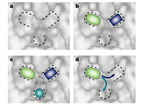 Fig. 1. The concept of fragment-based drug discovery (Blundell)