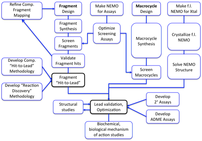 Fig. 1 Workflow
