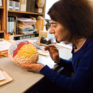 Professor Helen Barbas, Sargent College SAR Neural Systems Laboratory, Boston University BU