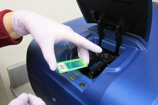 Boston University BU, College of Arts and Sciences CAS, human genome inflammatory system research, protein-binding microarrays, assistant professor of biology Trevor Siggers