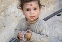 leishmaniasis, Scott Schaus, associate professor of chemistry, Boston University College of Arts and Sciences CAS, associate professor of pharmacology, Boston University School of Medicine BUSM, Lauren Brown, research assistant professor of chemistry, Boston University College of Arts and Sciences CAS