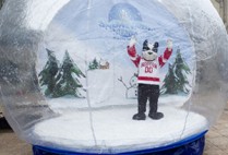 Boston University, BU, Winterfest, Frozen Fenway