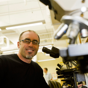 Paul Lipton, professor of neuroscience, Boston University College of Arts and Sciences, CAS, Boston University Undergraduate Research Opportunities Program, UROP, Boston University undergraduate neuroscience program