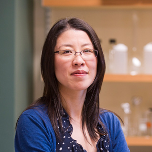 Xue Han, professor of biomedical engineering, Boston University College of Engineering, ENG, Parkinson's Disease research, optogenetics