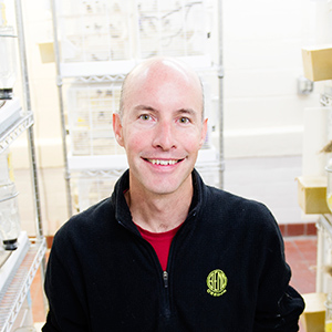 Boston University BU, College of Arts and Sciences CAS, Timothy Gardner, research, zebra finches