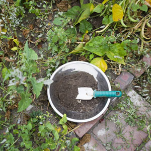 Boston University BU, urban garden, school of public health SPH