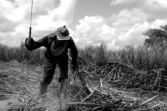 Sugarcane Workers