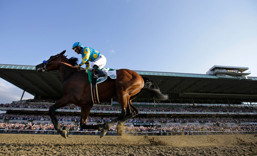 Race horse American Pharoah with jockey Victor Espinoza crosses the finish line to win the Belmont Stakes and Triple Crown