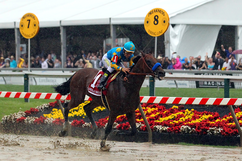 American Pharoah with jockey Victor Espinoza aboard in the 2015 Preakness Stakes at Pimlico Race Course in Baltimore, MD. 