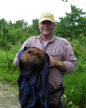 Peter Busher poses with beaver captured for analysis