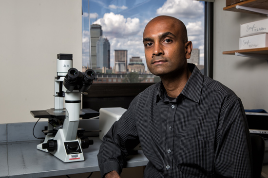 Anurag Singh, a MED assistant professor, studies NRAS in melanoma with a three-year grant from the Melanoma Research Alliance