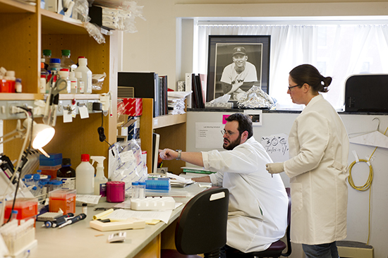 Research, like that done by fellow Katrina Traber and Greg Wasserman (MED’16) in BU’s Pulmonary Center, earned the School of Medicine a best-ever ranking from <em>US News</em>. Photo by Cydney Scott
