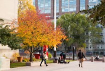 students walking around campus