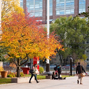 students walking around campus