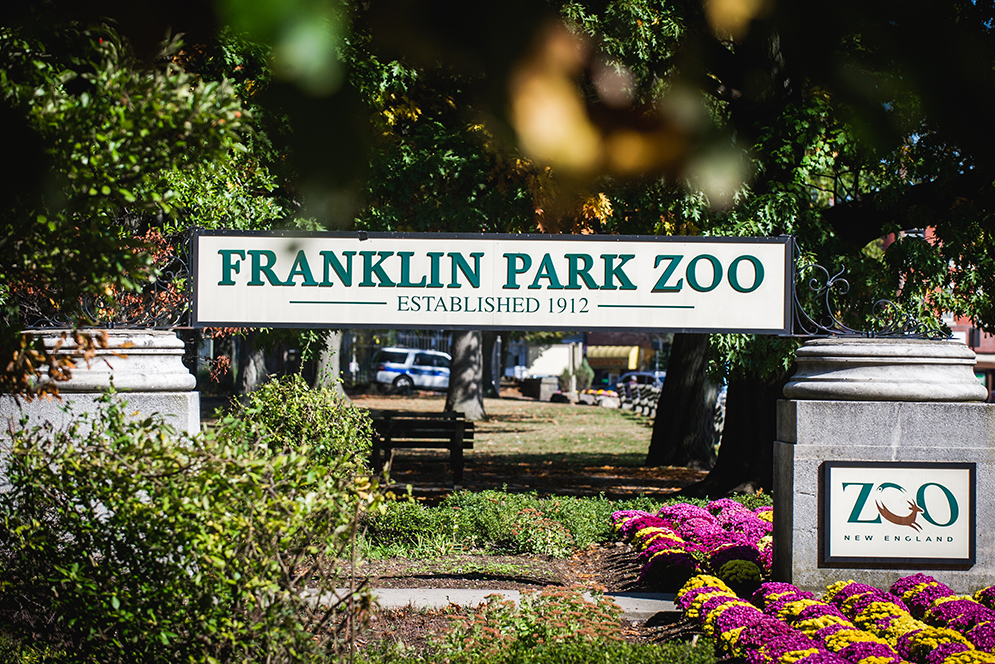 zoo