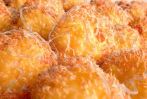 Up close Image of brown fat