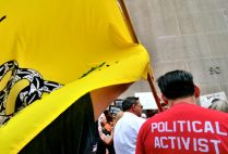 Tea Party activists