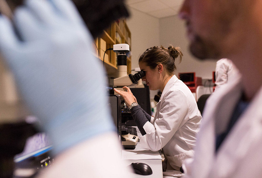 students work in a research lab at boston university